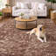 Tapis serpentin haut de gamme Premium ADS40-1512838681-1512838759