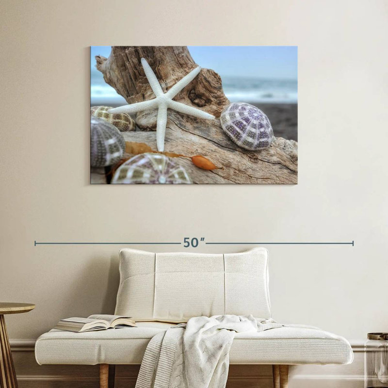 White crescent beach shells vii Aletra, H 26 po x l 39 po