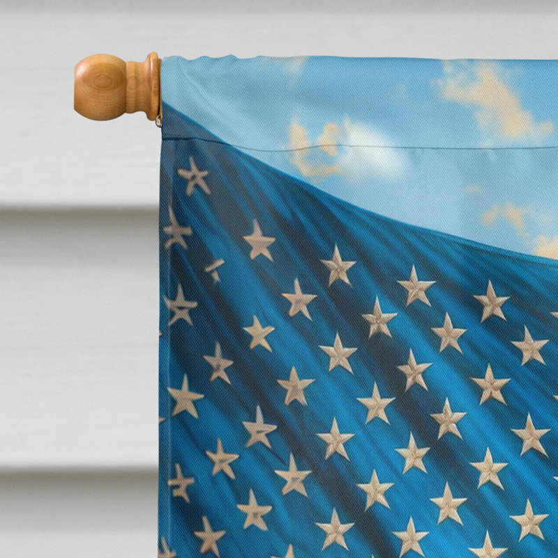 Drapeau «All American House», Épagneul clumber