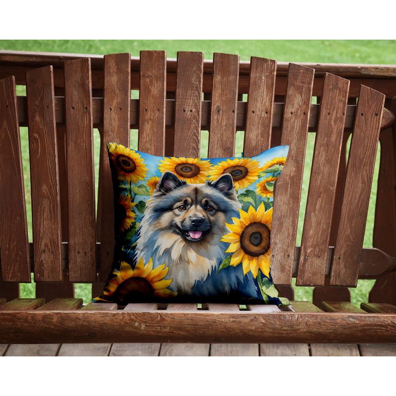 Coussin décoratif intérieur / extérieur Autre / Sans motif, H 14 po x l 14 po