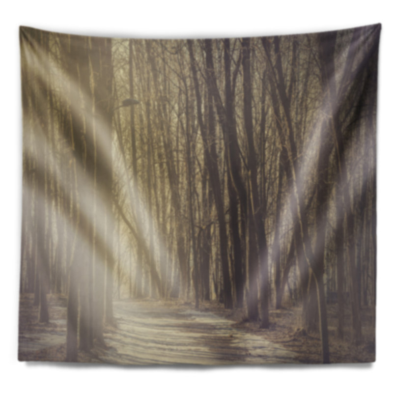 Tapisserie «Path in the Foggy Fall Forest», H 68 po x l 80 po