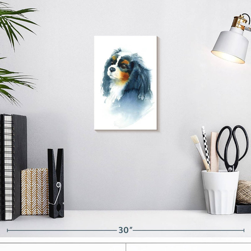 Brampt Cavalier King Charles, H 12 po x l 8 po
