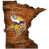 Minnesota Vikings