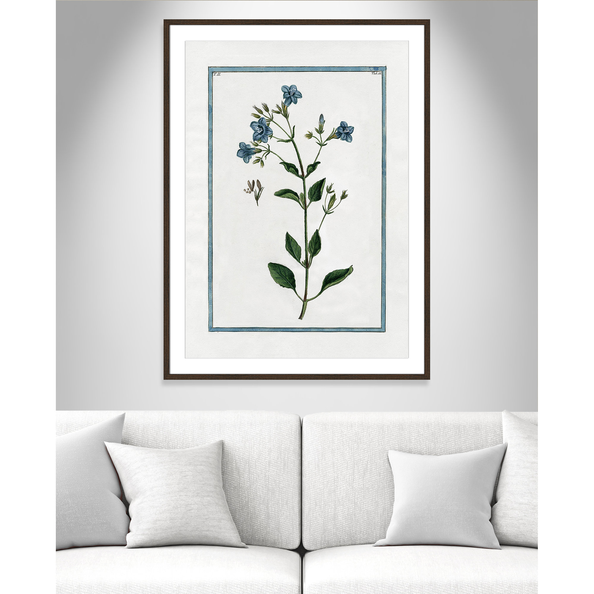 Shabby Elegance Botanical II - Framed Art, 29.5" W x 41.5" H, Walnut Framed