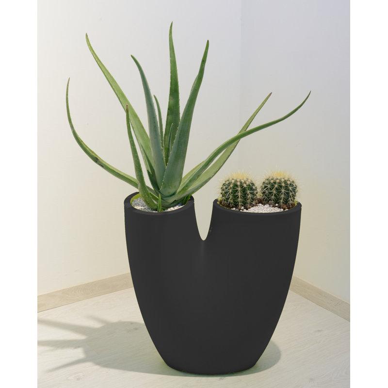 Flowerpot Bilobo, Anthracite