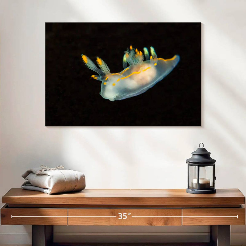 Sea Slug In Dark Waters, 20" H x 30" W