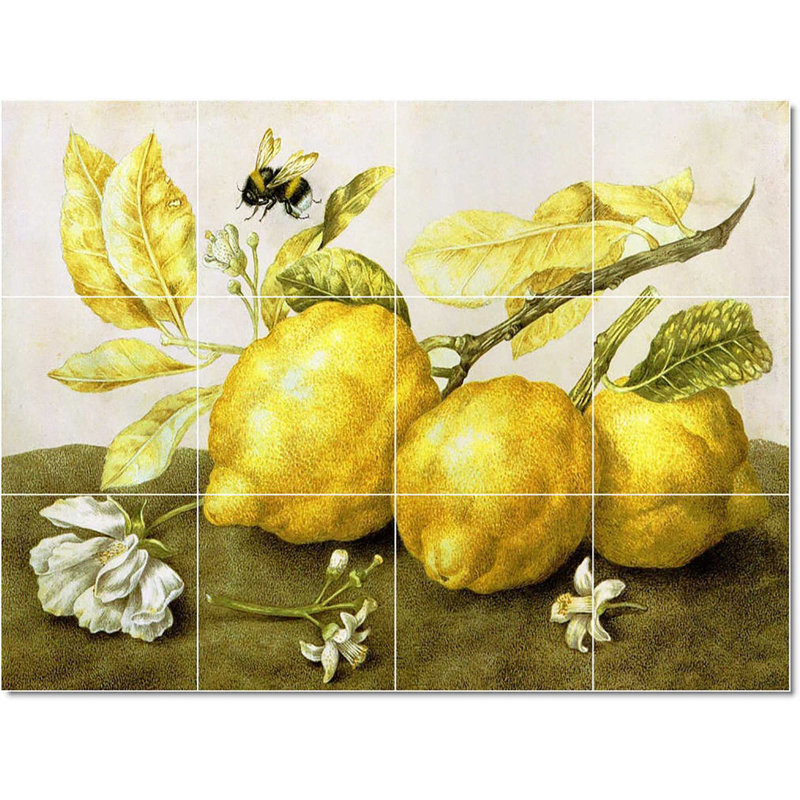 Carreau de peinture murale 40 po x 24 po 8 po x 8 po, Giovanna Garzoni, oiseau W22457