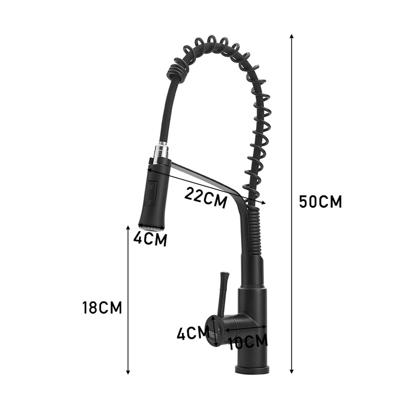 Belfry Kitchen Kitchen Faucet, Black