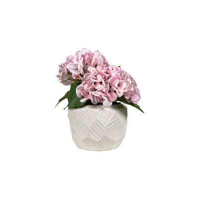 Hortensias roses dans une jardinière blanche délavée