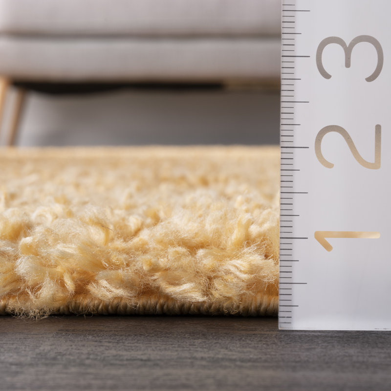 Tapis à poils longs Schiavo, Rectangle 2 pi x 3 pi
