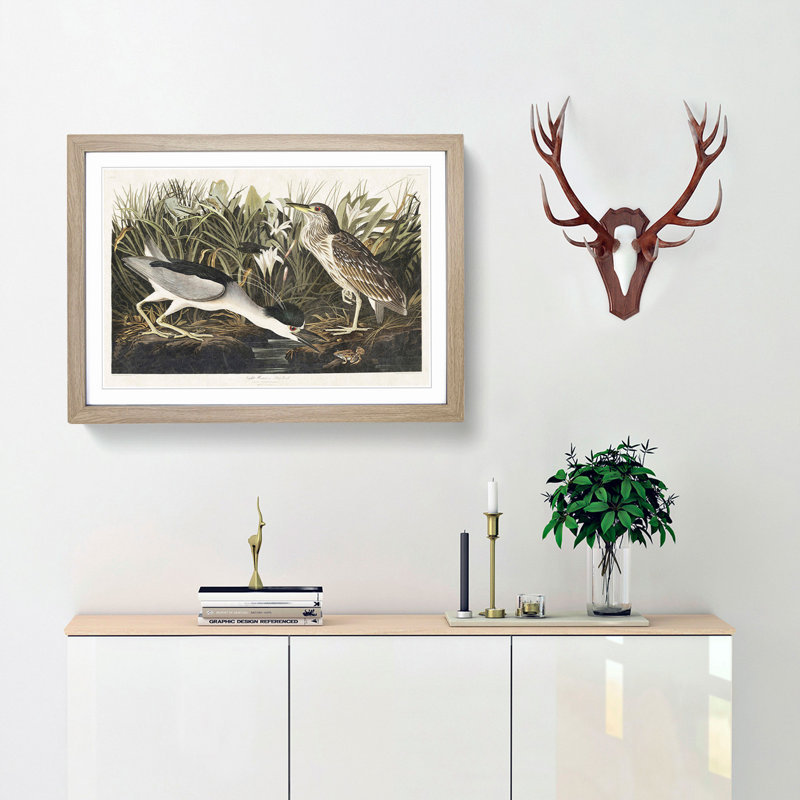 Night Heron by John Audubon - Picture Frame Painting Print, 48cm H x 65cm W x 2cm D, Oak Framed