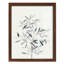 «Chereen Delicate Sage Botanical VI», reproduction d'un seul cadre-2025168155-2025168144