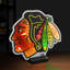 Logo NHL Chicago Blackhawks Infinity