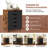 Beeta Accent Chest
