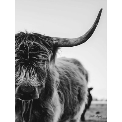 " The Cow " by Dakota Diener