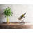 1 Bottle Tabletop Wine Bottle Rack in Black