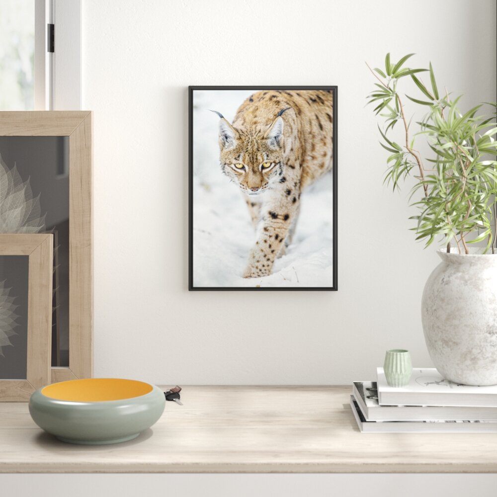 Gerahmtes Wandbild Alert Lynx in Snow