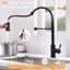 Robinet de cuisine HOOSENG-97068157