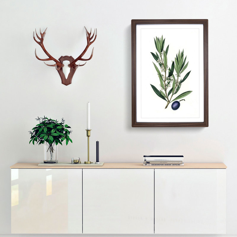 Olive Tree Flowers Illustration - Picture Frame Painting Print, Walnut Framed, 36cm H x 27cm W x 2cm D