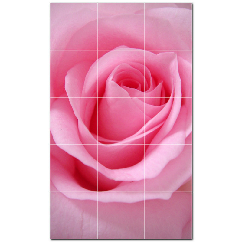 Fleurs photo 8 x 8