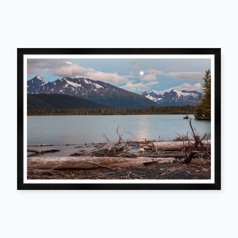 Moonlight Driftwood I Print