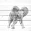 «Aliya Playful Elephant Print» sur bois blanc-1602093565