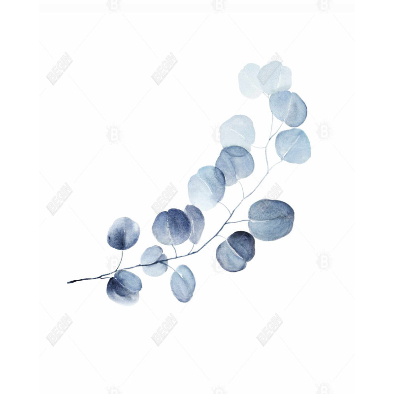 A Branch Of Eucalyptus Print On Canvas