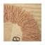 Lion Shape Rug