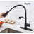 Rainlex Pull Down Kitchen Faucet