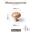 Paquet multiple de boutons de champignon de 1,4 po de diamètre-133089316