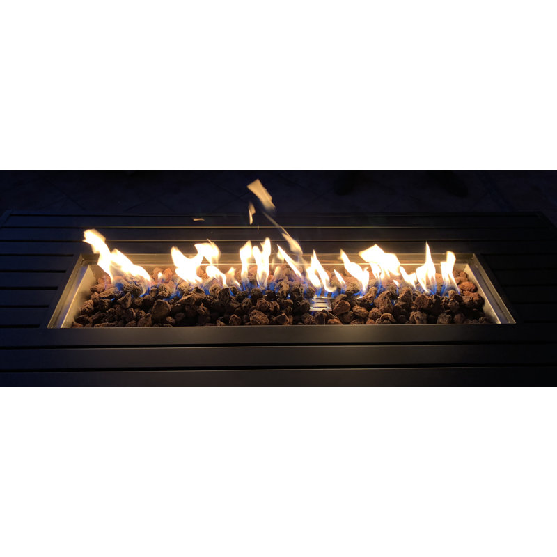 Casselton Steel Propane/Natural Gas Outdoor Fire Pit Table With Lid
