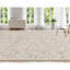 Hand-Knotted High-Quality Beige and Beige Area Rug