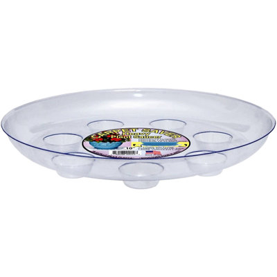Saucer Plant Stand