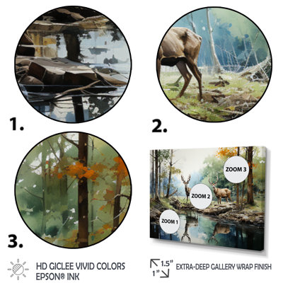 Deer Majestic Reflections - Print on Canvas