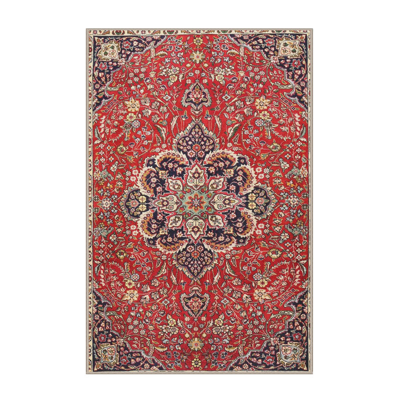 Oriental Indoor Rug, Rectangle 4' x 6'
