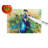 Peacock Glass Cutting Board