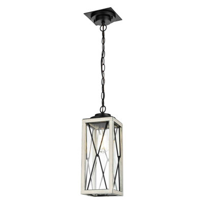 Apison Outdoor Hanging Lantern