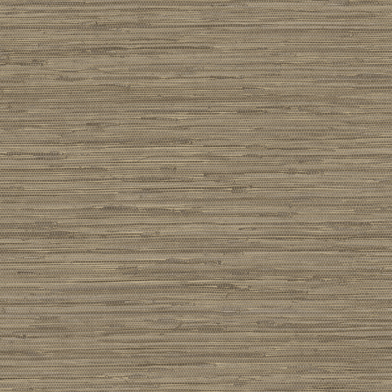 Rouleau de papier peint lisse texture IV, Brun pâle, L 33 po x l 20,5 po
