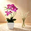 Arrangement de plantes orchidées artificielles Phalaenopsis