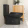 Ally Dual-Flush Elongated One-Piece Toilet with Glazed Surface Modern Toilet with Comfort Seat Height  (Seat Included)