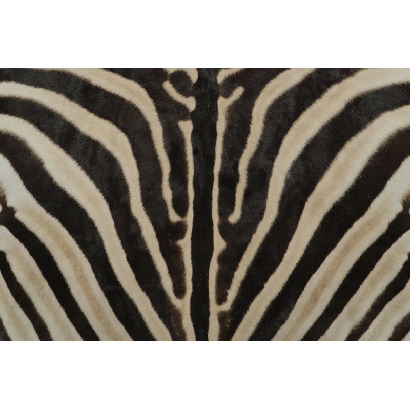 Modern Area Rug