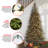Aspen Spruce Tree with Clear Lights-1896640432