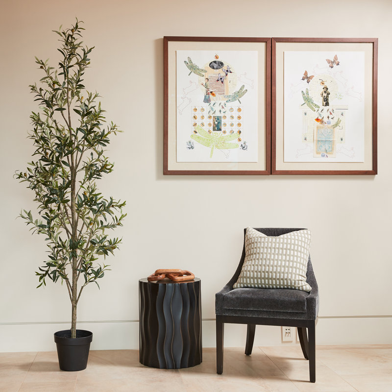 7FT Slim Olive Tree in Grower Pot