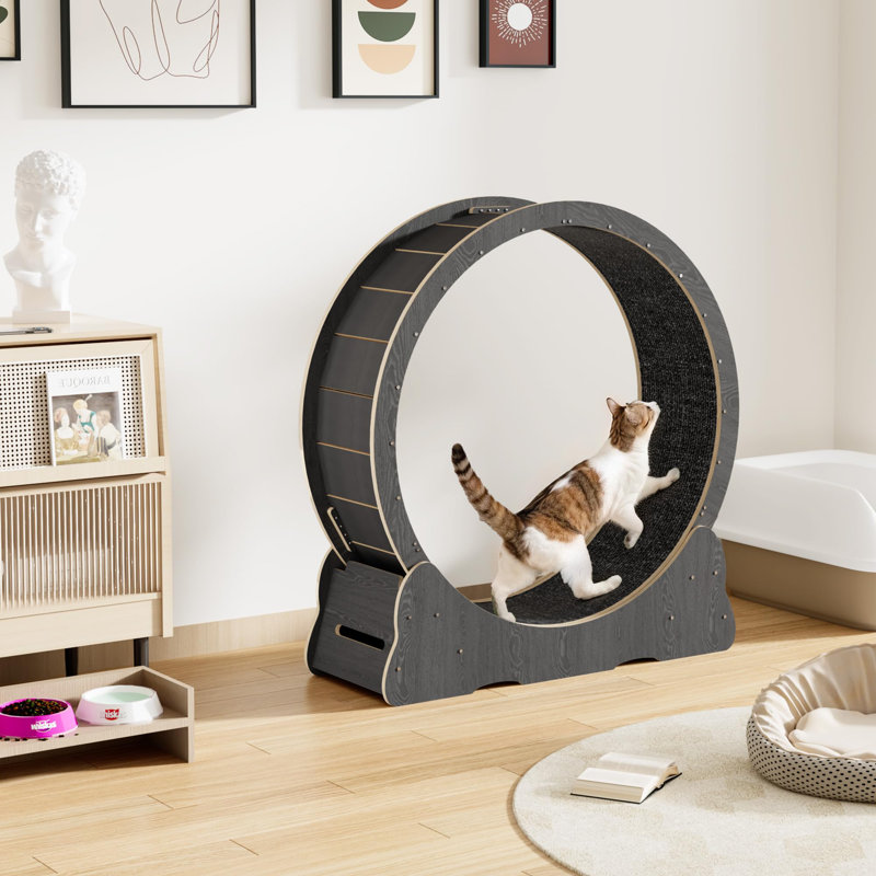Tapis roulant d'intérieur pour animal de compagnie, H 38,2 po x l 31,5 po x P 12,6 po, Noir