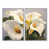 Impression encadrée flottante sélectionné