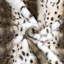 Couverture en fausse fourrure Citraka-1833382303-1833382301