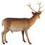 Statue cerf à queue masculine pour forêt