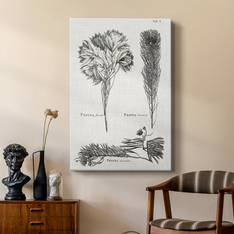 Protea on Linen noir et blanc - galerie Cavas sur mesure, H 27 po x l 18 po