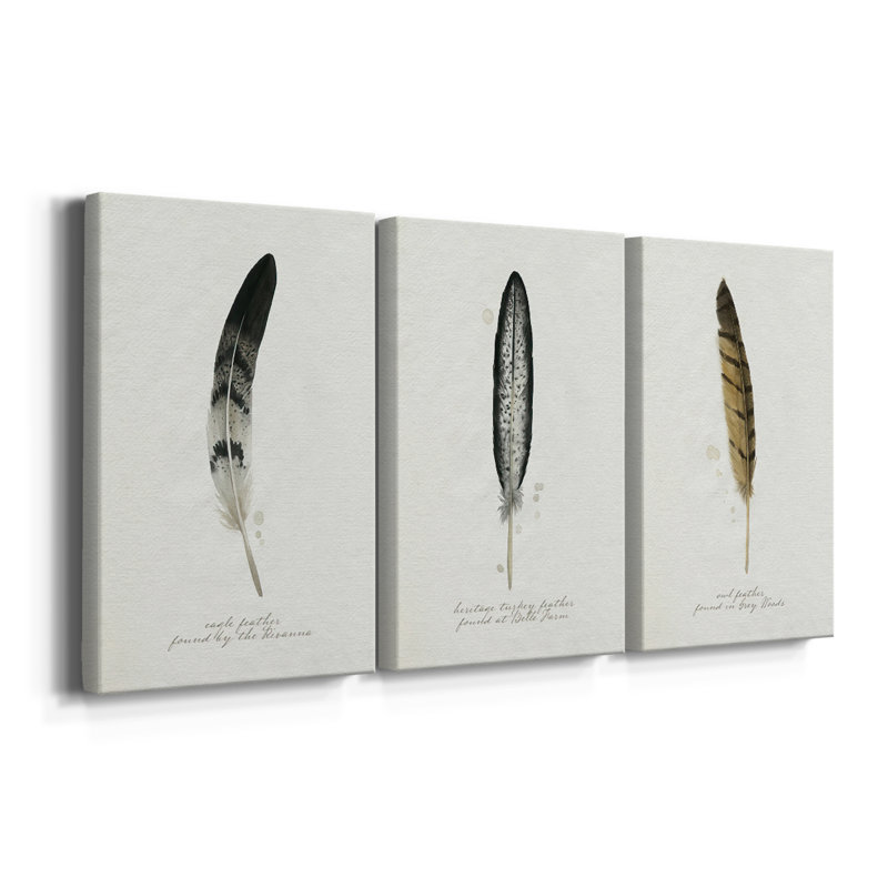 Found Feather I  -Custom Wrapped Gallery Canvas - 3 Pieces, 12" H x 24" W