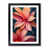 Black Framed selected